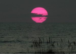 Hot pink sunrise